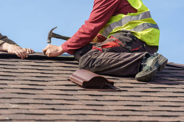 Best Storm Damage Roof Repair  in Panthersville, GA