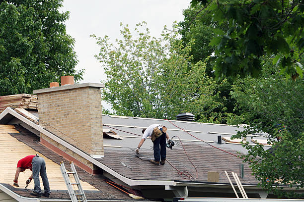 Best Local Roofing Companies  in Panthersville, GA