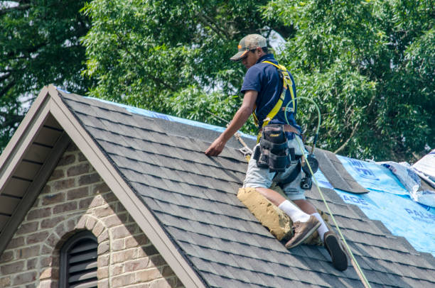 Gutter Installation and Roofing in Panthersville, GA